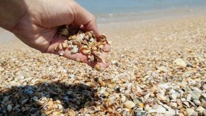 Лучший пляж для дикого отдыха на Азовском море. Новоотрадное, Крым.