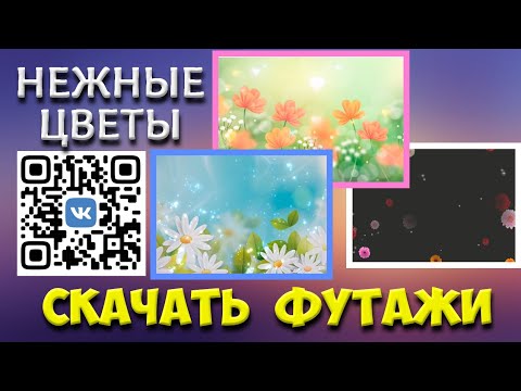 Футажи Нежные цветы Pixabay (10 штук) для ваших видео