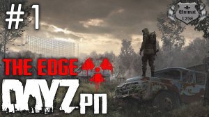 S.T.A.L.K.E.R. The EDGE | DayZ RP | Первый взгляд | Что происходит? #1