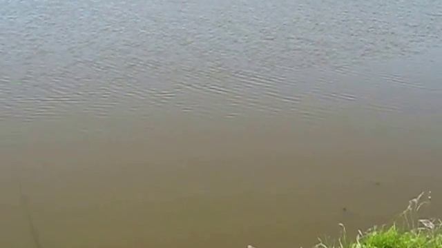 Хилково смотреть онлайн