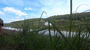 Рыбалка на маховую удочку в конце августа на кукурузу