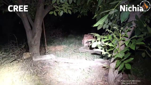 ESCORT T95 Nichia и CREE сравнение фонарей смотреть онлайн