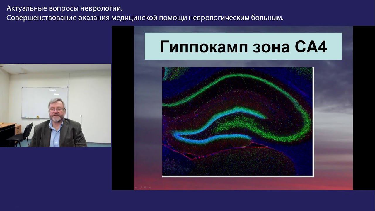 Актуальные вопросы неврологии. Совершенствование оказания медицинской помощи неврологическим больным смотреть онлайн