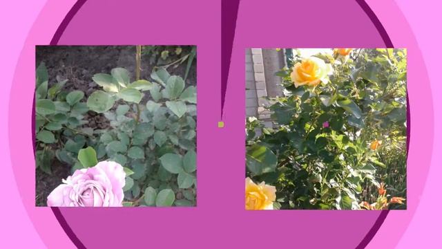 Любимое время года смотреть онлайн