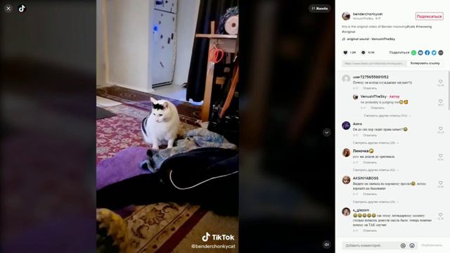 ЦЕ ДЛЯ ФАЙТИНГА, КОТ МЯУКАЕТ И КИВАЕТ ГОЛОВОЙ, БЕЛАЯ ПТИЦА КРИЧИТ - ОТКУДА МЕМЫ? (СБОРНИК 3 МЕМОВ) смотреть онлайн