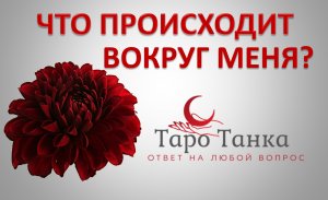 ЧТО ПРОИСХОДИТ ВОКРУГ МЕНЯ ИЛИ ЗА МОЕЙ СПИНОЙ