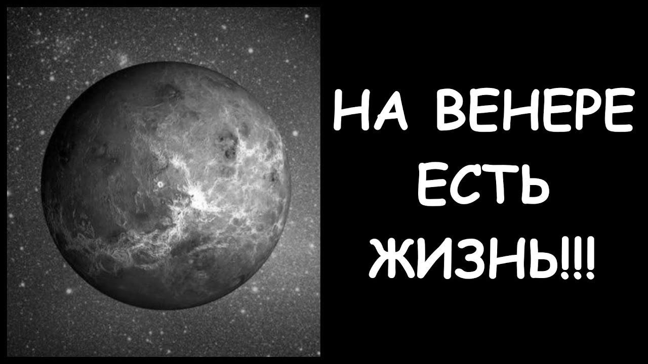 До встречи на венере. Я была на Венере.