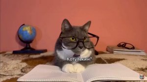 Если бы котики ходили в школу - типы учеников
