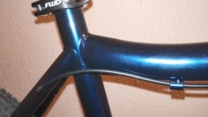 Forward Sporting 29 X