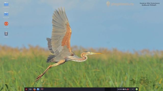 Archman Linux. Обзор дистрибутива смотреть онлайн