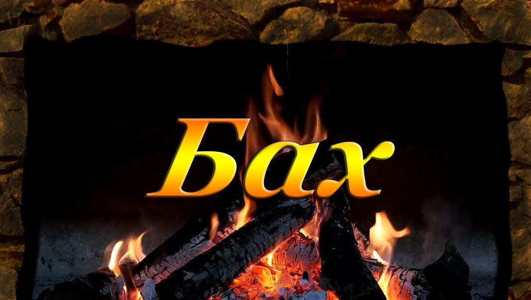 БАХ - гобой и скрипка, BWV 1060( Adagio) смотреть онлайн