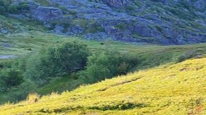 2 недели на побережье Кольского