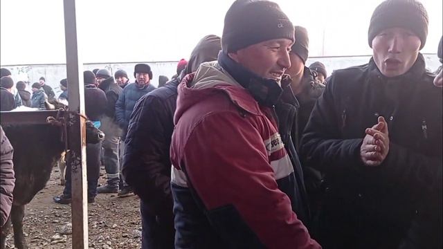 Дж Расулов Гулакандоз мол бозори 35000 с наввос сотилди
