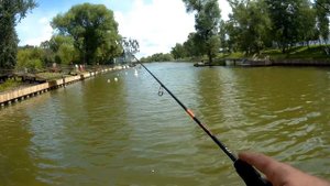 Мормышинг без мормышек. Каменские пруды Фантан Золотой колос