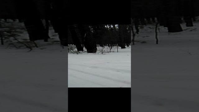 О рецепте счастья