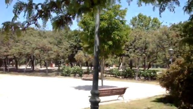 Бедные попугаи. Оперативность... смотреть онлайн