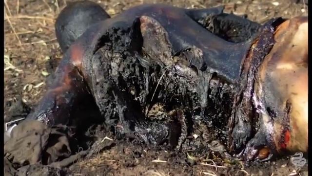 Алчевский металлургический комбинат смотреть онлайн