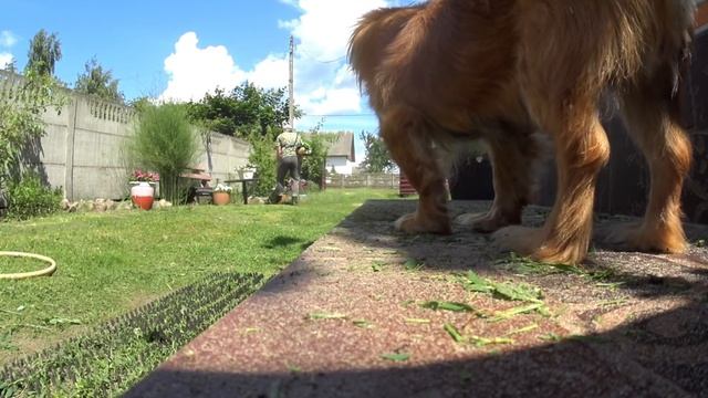 ✅Оставил семью в деревне, а сам уехал делать ремонт в доме смотреть онлайн