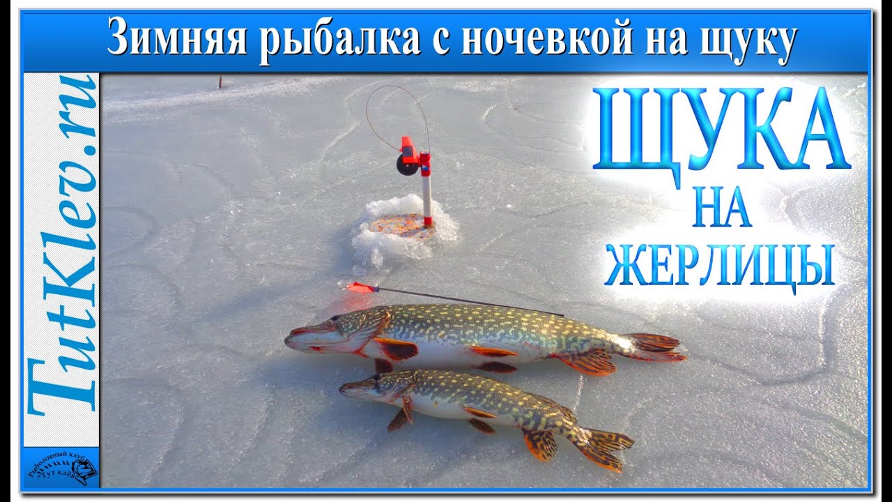 Зимняя рыбалка с ночевкой! Ловля щуки на жерлицы на пруду в Самойловке.mp4