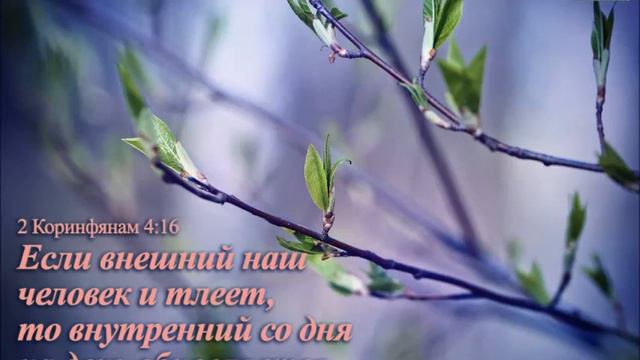 05."Вестник пришествия".Д.Вилкерсон - Где же девять? смотреть онлайн