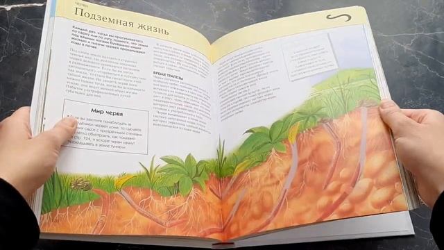 Насекомые. Полная энциклопедия