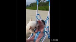 InShot_20231022_142644190.mp4