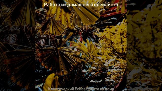 Дружелюбный (очищающий)