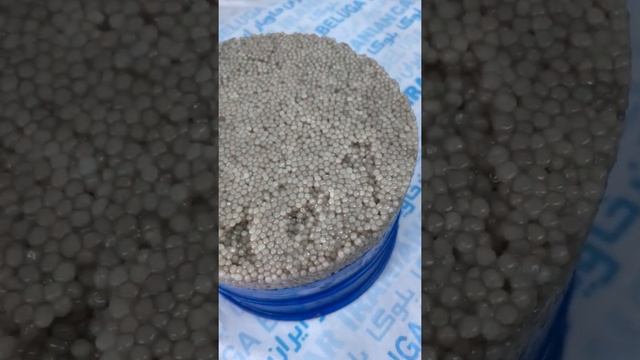 Икра белуги альбиноса (Иран) смотреть онлайн