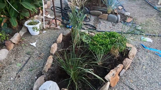 Начинаем стройку дома, Гуляем по очереди, Новые цветы, Сад, Огород на Юге, Дом на Юге