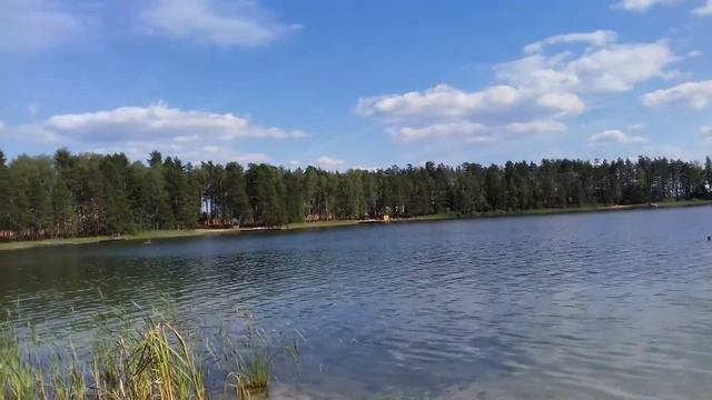 Оз.Карась.Сосновый бор.Марий Эл.06.08.16г. смотреть онлайн