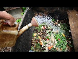 Полейте компост таким удобрением. Перегниет в 3 раза быстрее будет  без болезней и более жирным.