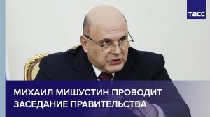 Михаил Мишустин проводит заседание правительства