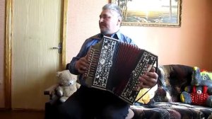 Калужские страдания - исполнение на гармони