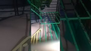 Впервые взяла своего Хомяка на руки