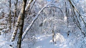 Восхитительно Красивые Мелодии Саксофона и Море!!Послушайте.Cаксофон,Гитар и флейта-Guitar, Flute..