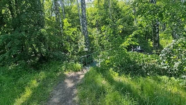 Красавица Клязьма ПРАВЫЙ берег.Сторож монстр.Мамаша утка с выводком.
#ВиртуАЛЬноеОКНОвРеАЛЬность?