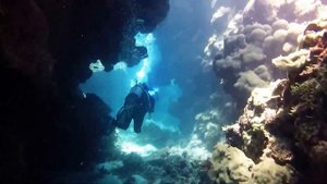 Diving Great Barrier Reef