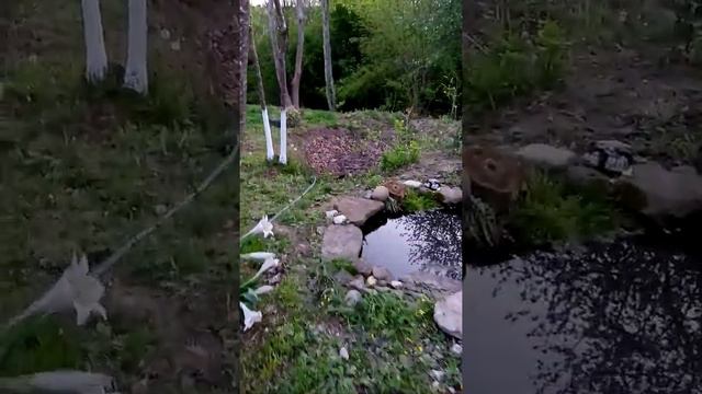 Пруд своими руками в ДЕРЕВНЕ смотреть онлайн