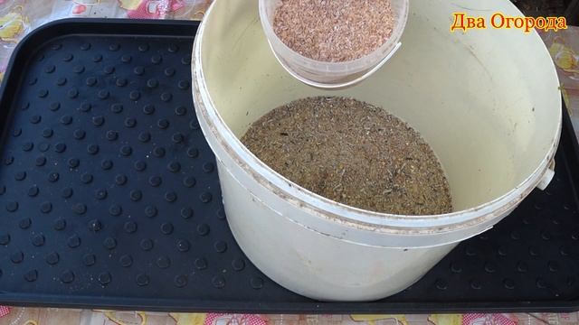 Кормление кур по деревенски.