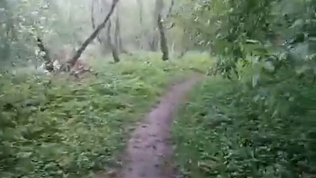 Сон. Видение. Любовь. смотреть онлайн