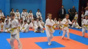 Карате като на пояс