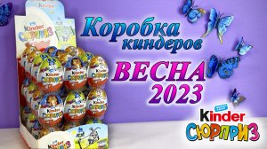 Коробка Пасхальных яиц Киндер Сюрприз весна 2023г.