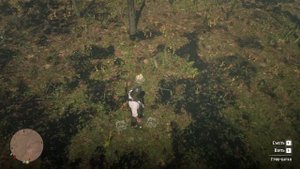 RDR 2 Гриб Баран