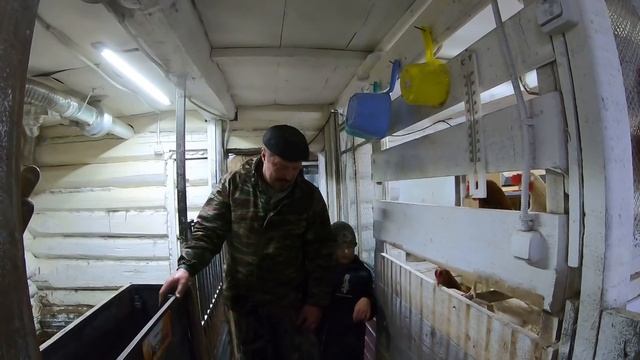 ГОЛУБОЙ ГЛАЗ У СВИНЕЙ. СТРАШНЫЙ СИНДРОМ? ВЕС ПОРОСЕНКА. ВЗВЕШИВАНИЕ ПОРОСЯТ. Бункерная кормушка.