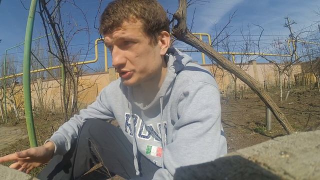 Как УСТРОЕНО ПРИРОДНОЕ ОРГАНИЧЕСКОЕ ЗЕМЛЕДЕЛИЕ? Узнай наконец. ПЕРЕСТАНЬ КОРЧИТЬСЯ на ЗЕМЛЕ