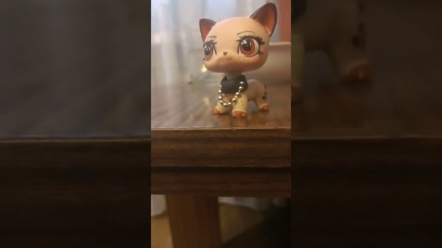 Какие звуки можно использовать под lps смотреть онлайн