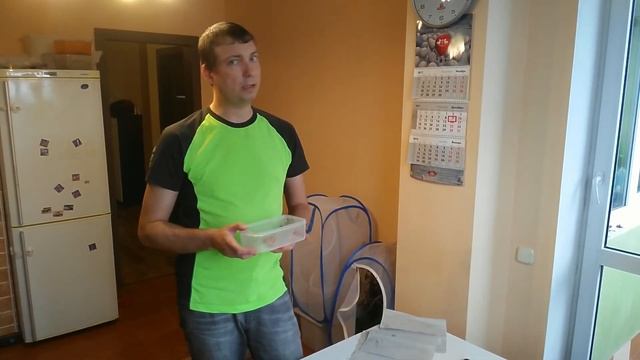 Разведение бабочек в домашних (лабораторных) условиях смотреть онлайн