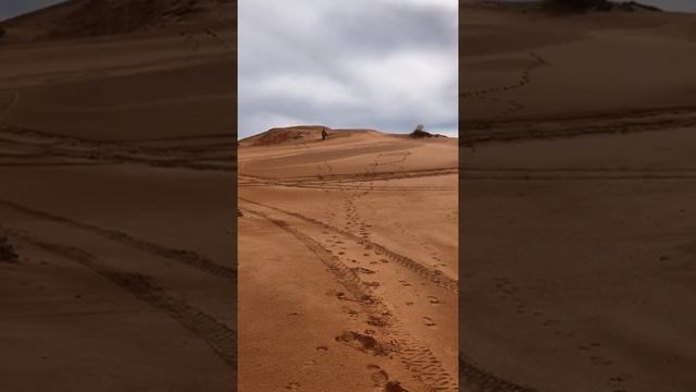 Fun at Coral Pink Sand Dunes State Park in Utah!