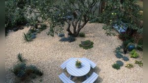 Гравийный сад на участке