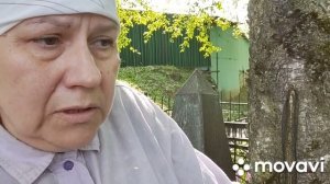 Социальные похороны,  это что, Москва,  гарантированный перечень услуг по захоронению , инструкция